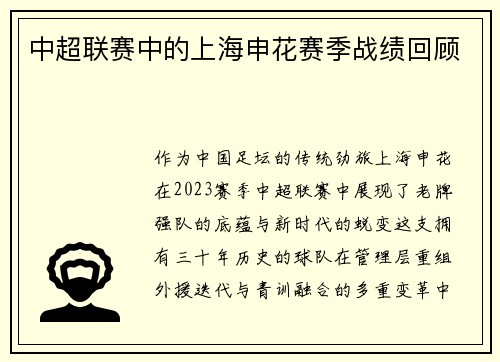 中超联赛中的上海申花赛季战绩回顾